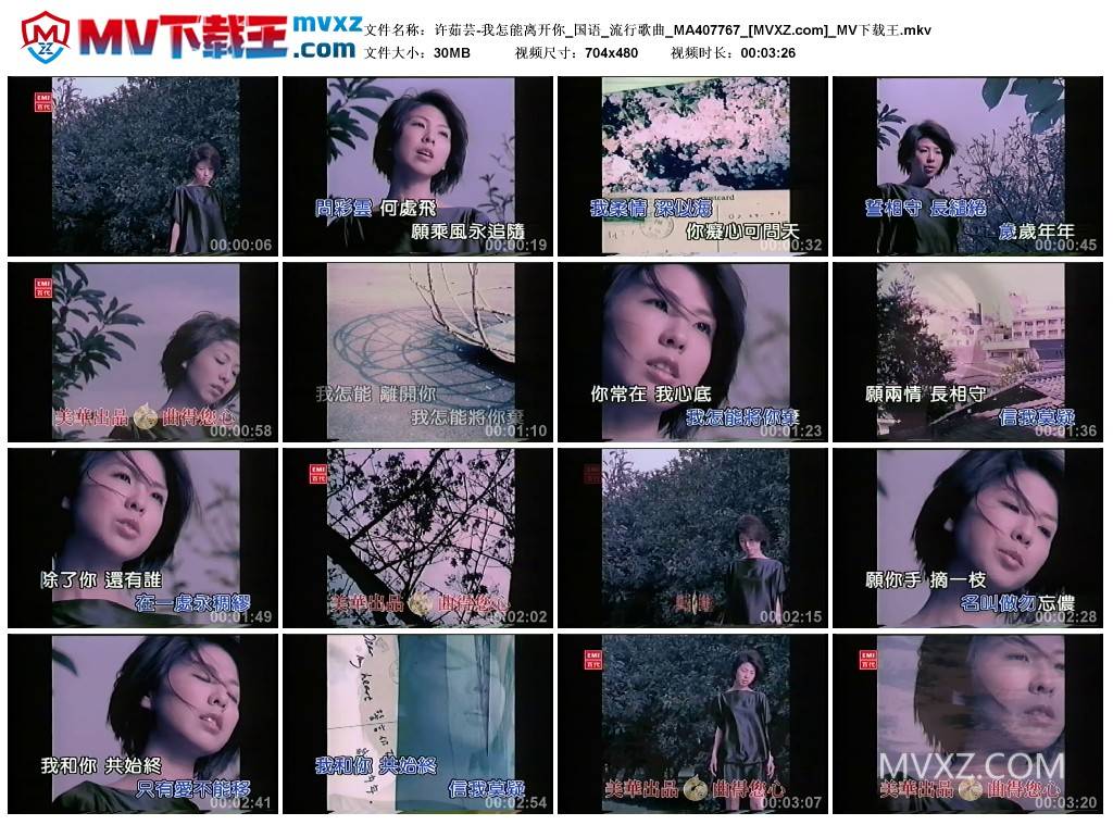 许茹芸-我怎能离开你_国语_流行歌曲_MA407767